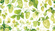 Hops. Seamless watercolor pattern with hops flower