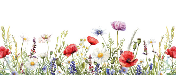 Wall Mural - Watercolor meadow of wildflowers and grasses with red poppies and daisies in the style of seamless pattern illustration on a white background