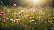 Beautiful summertime flower meadow with sunbeams and bokeh lights - nature background banner with copy space - spring wildflowers summer greeting card... 