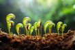 Close up of tiny seeds sprout and grow into vibrant fern plant against the backdrop of fertile soil, the seeds germinate and send out delicate tendrils, reaching towards the light 