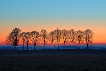 Wall Mural - A field of trees with a beautiful sunset in the background