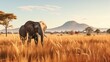 Elephant standing in a tall grass field