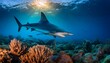 A hammerhead shark swimming over a coral reef in the blue sea