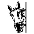 Peeking Horse - Funny Farm Animal - Animal Stencil Cut Files
