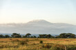 beautiful view of the African savanna and Kilimanjaro volcano. Snow on top of Mount Kilimanjaro in Amboseli