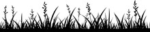 Black Silhouette Of Grass Border, Seamless Vector Illustration