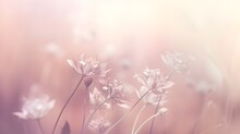 Light Soft Dreamy Pink Floral Abstract Background