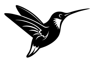 hummingbird silhouette vector illustration