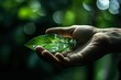 Human hands wrapped around green plants by showing an icon on a leaf Reduce carbon emissions, global warming
