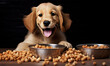 Happy dog is enjoying his food
