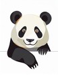 Illustration von einem niedlichen Panda