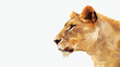Geometrical low poly illustration of a lioness head