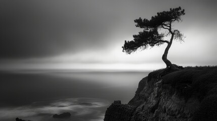 Picture of flowers, trees, black and white