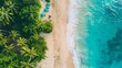 Aerial view of a tropical beach with palm trees and blue umbrellas. Travel and vacation concept for design and poster
