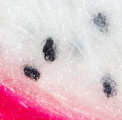 Canvas Print - Seeds on dragon fruit pulp as background. Macro