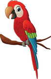 Fototapeta Dinusie -  Cartoon red parrot on a branch 
