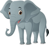 Fototapeta Dinusie - Cute elephant cartoon on white background
