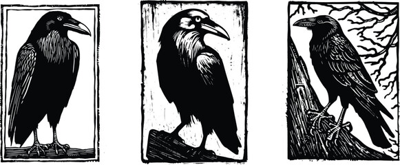 Wall Mural - Set of raven, vector illustration.