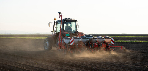 Wall Mural - Sowing crops at agricultural fields in spring