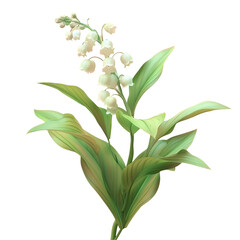 Wall Mural - A white flower on a stem with leaves