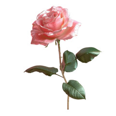 Wall Mural - A pink rose on a stem with leaves