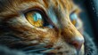 Encounter the soulful gaze of a feline companion, its eyes reflecting a wisdom beyond measure, portrayed in breathtaking 8K resolution. Lose yourself in the richness of high-resolution photography.