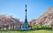 Pink Sakura or cherry trees in bloom in Copenhagen Langelinieparken with the military angel statue for the fallen in war. Langelinie park angelic monument surrounded by blooming flowers conveys peace