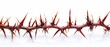 A crown of thorns with a white background, commemorating Jesus' resurrection- Easter religious motif
