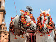 Adorned Horses in Traditional Festival