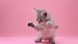Cute rag doll baby cat playing on a pink background