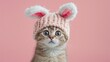 Funny cat with big eyes in a hat with bunny ears on a pink background