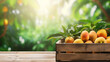 A rustic wooden crate overflows with ripe, juicy mangos on a wooden table, the fresh bounty against a backdrop of sunlit foliage.