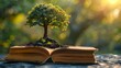 A tree, books, enlightening minds, planting seeds of change, promoting diversity, realistic, golden hour, depth of field bokeh effect