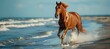 Chestnut horse galloping running at beach. Generative AI technology.