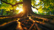 © MYKHAILO KUSHEI - the roots of a large, healthy tree that is well nourished by the fertile soil, the tree of life from behind the trunk of which the sun shines