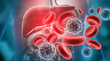 Human liver anatomy with hepatitis b virus. 3d illustration..