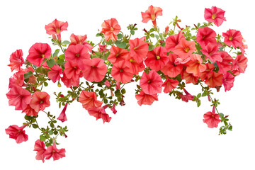 Wall Mural - surfinia, petunia red flowers, beautiful green spaces, on white background, realistic, bushes for garden, trees for fence, realistic, 3D