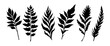 Beautiful palm leaf set silhouette background vector illustration	