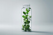Green plant with leaves in a transparent glass bottle on a light background, front view
