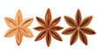 Isolated element spice star star anise decorative bei