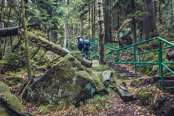 Wall Mural - Stairs on Szczeliniec Wielki, highest peak of Table Mountains in Sudetes, Poland