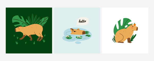  Cute capybara. Funny capibara, adorable exotic animal swimming, standing and sitting. South America mammal relaxing, lettering phrase, print or poster. Cartoon flat isolated vector set