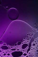 Wall Mural - purple liquid abstract background with fluid shapes