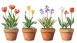 Four flower pots with colorful flowers, perfect for gardening projects
