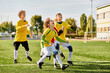 © LIGHTFIELD STUDIOS - A vibrant group of young individuals enthusiastically playing a game of soccer on a grassy field, running, kicking, and passing the ball with skill and teamwork.