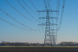 Fototapeta Las - A row off electrical towers in the Dutch countryside.