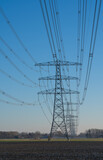 Fototapeta Las - A row of electrical towers on a sunny day in the countryside.