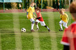 © LIGHTFIELD STUDIOS - A lively group of young children are playing a game of soccer on a green field. They are running, kicking, and passing the ball as they compete in a friendly match filled with laughter and excitement.