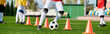 © LIGHTFIELD STUDIOS - A skilled soccer player is kicking a soccer ball around orange cones on a field. He demonstrates precise dribbling techniques as he navigates through the obstacles with agility and control.