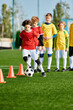 © LIGHTFIELD STUDIOS - A group of vibrant young children playing an enthusiastic game of soccer on a grassy field. They are running, kicking, passing, and celebrating goals in a lively and dynamic manner.